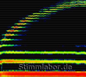 Naturtonreihe als Stimm-Frequenz-Grafik