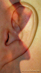 mit hörenden Ohren den Hörproben lauschen
