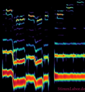 Abbildung der Stimm-Frequenzen beim polyphonen Singen