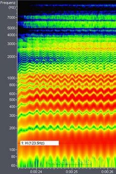 Stimm-Frequenz-Spektrum mit Vibrato