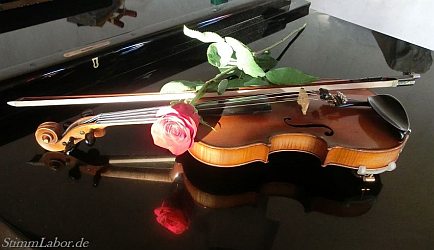 Improvisations-Musiker für Geige und E-Violine in Berlin