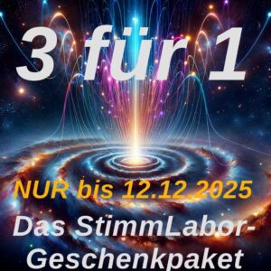 Stimmlabor-Geschenkpaket-Cover